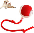 Interactive smart ball for dogs and cats