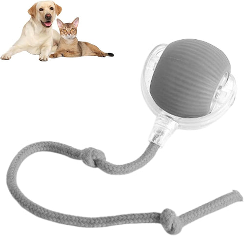 Interactive smart ball for dogs and cats