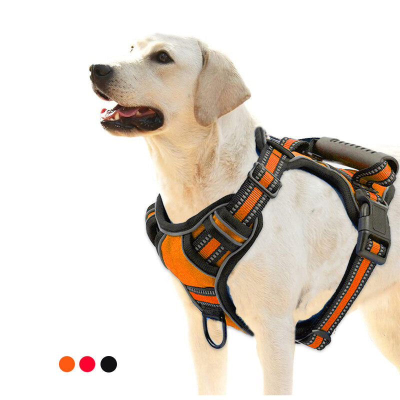 Harnais réfléchissant respirant pour chien