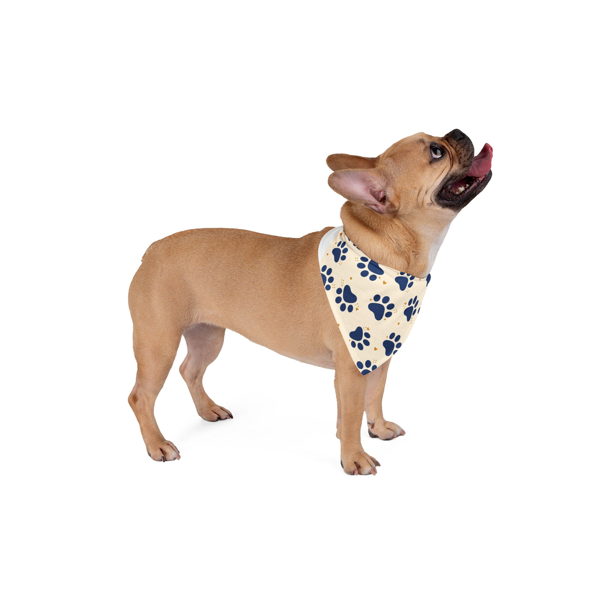 Bandana personnalisé pour chien — Motif pattes Novael