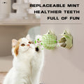 Brosse Auto-Toilettage Murale pour Chat