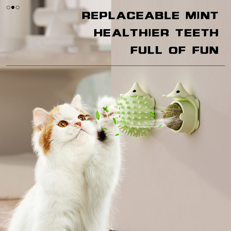 Brosse Auto-Toilettage Murale pour Chat