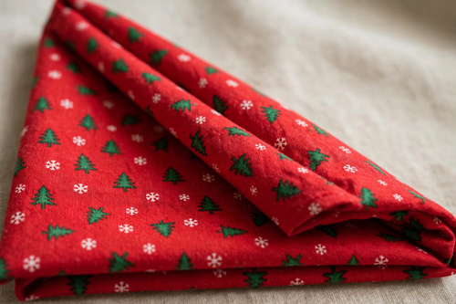Bandana de Noël double épaisseur pour chien