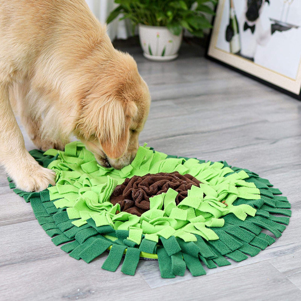 Tapis de fouille interactif pour chien et chat — stimulation mentale