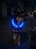 Collier LED de sécurité rechargeable